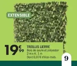 La Foir'Fouille Treillis lierre offre
