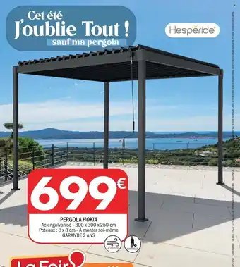 La Foir'Fouille Pergola hokia offre