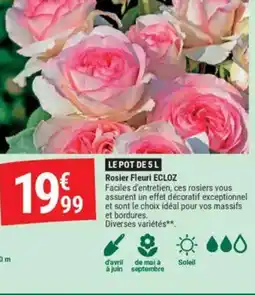 Gamm vert Rosier Fleuri offre