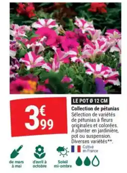 Gamm vert Collection de pétunias offre