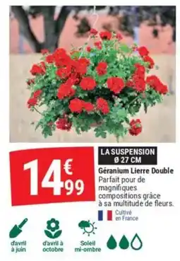 Gamm vert Géranium Lierre Double offre