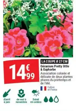 Gamm vert Géranium Pretty little & Euphorbe offre