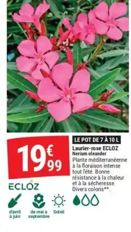 Gamm vert Laurier rose offre