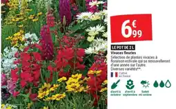 Gamm vert Vivaces fleuries offre
