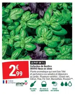 Gamm vert Collection de Basilics offre