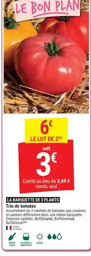 Gamm vert Trio de tomates offre