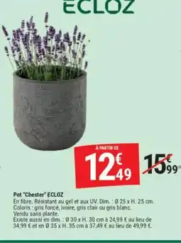Gamm vert Pot Chester offre