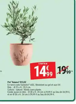 Gamm vert Pot Amano offre
