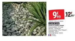 Gamm vert Gravier en marbre Turquin offre