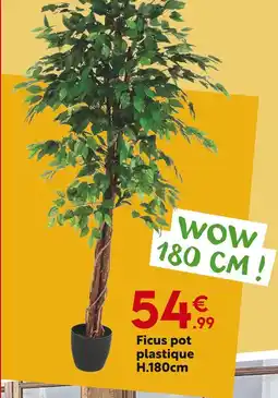 Maxi Bazar Ficus pot plastique offre