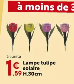 Maxi Bazar Lampe tulipe solaire H.30cm offre