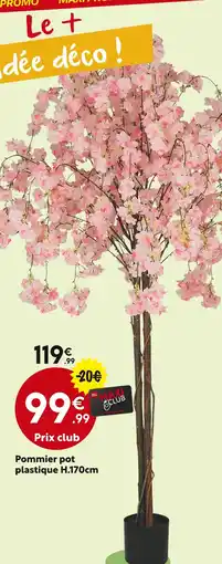 Maxi Bazar Pommier pot plastique H.170cm offre