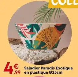 Maxi Bazar Saladier Paradis Exotique en plastique Ø25cm offre