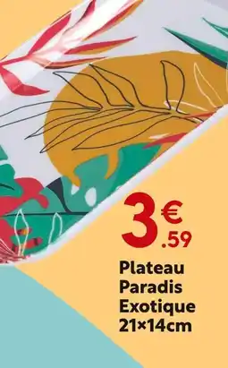 Maxi Bazar Plateau Paradis Exotique 21×14cm offre
