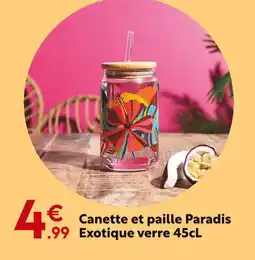 Maxi Bazar Canette et paille paradis exotique offre