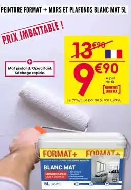 Décor Discount Peinture format + murs et plafonds blanc mat 5l offre