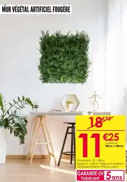 Décor Discount Mur végétal artificiel fougÚre offre