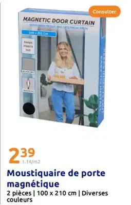 Action Moustiquaire de porte magnétique offre