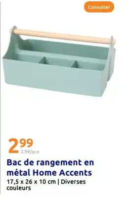Action Bac de rangement en métal home accents offre