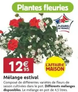 LaMaison.fr Mélange estival offre