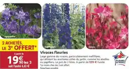 LaMaison.fr Vivaces fleuries offre
