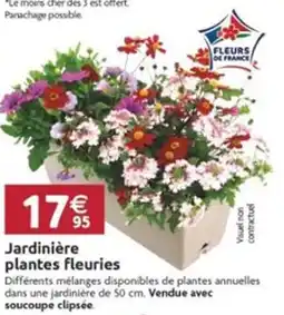 LaMaison.fr Jardinière plantes fleuries offre