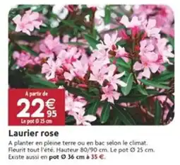 LaMaison.fr Laurier rose offre