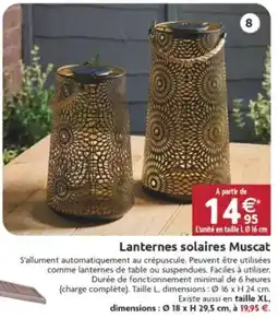 LaMaison.fr Lanternes solaires muscat offre