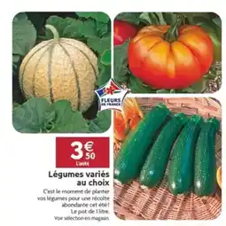 LaMaison.fr Légumes variés au choix offre