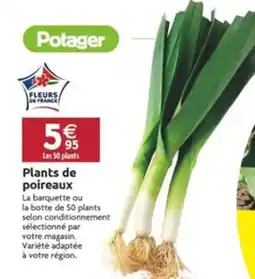 LaMaison.fr Plants de poireaux offre