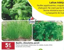 LaMaison.fr Basilic, ciboulette, persil offre