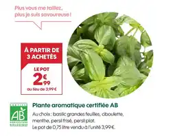Truffaut Plante aromatique certifiée ab offre