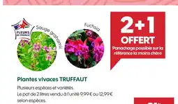 Truffaut TRUFFAUT promo diverse offre
