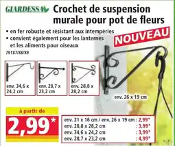 Norma GIARDESSA Crochet de suspension murale pour pot de fleurs offre