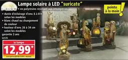 Norma Lampe solaire à led suricate offre