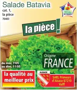 Norma Salade batavia offre
