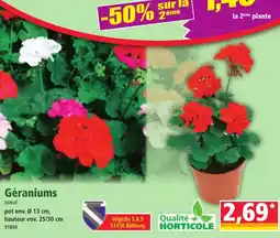 Norma Géraniums offre