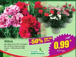 Norma Cillets offre