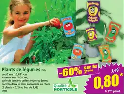 Norma Plants de légumes kids offre