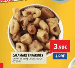 Gel 2000 Calamars enfarinés offre