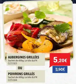 Gel 2000 Aubergines grillées poivrons grillés offre