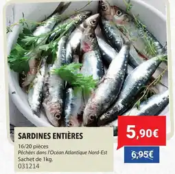 Gel 2000 Sardines entières offre