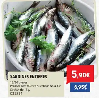 Gel 2000 Sardines entières offre