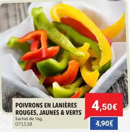Gel 2000 Poivrons en laniĂšres rouges jaunes & verts offre