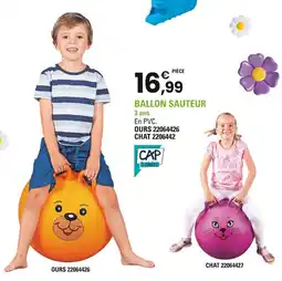 JouéClub Ballon sauteur offre