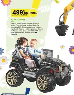 JouéClub 4x4 gaucho xp offre