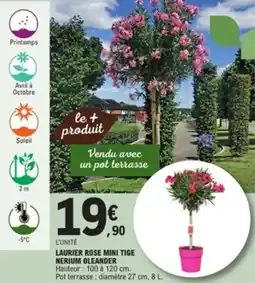 E.Leclerc Jardi Laurier rose mini tige nerium oleander offre