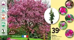 E.Leclerc Jardi Magnolia offre