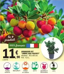 E.Leclerc Jardi Arbousier dit arbre aux fraises offre