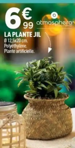 Centrakor La plante jil offre